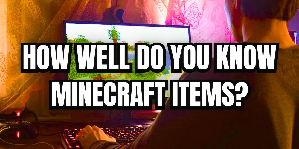 How Well Do You Know Minecraft Items?